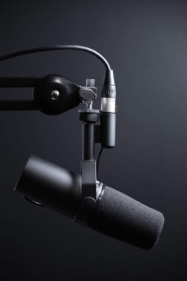 Professional studio microphone